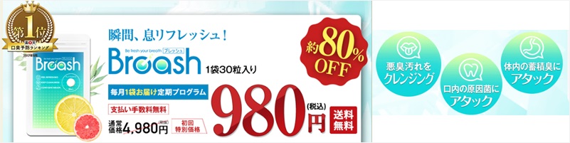 �u���b�V�����T�C�g